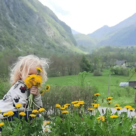 Apartmán Hisa Ella Zaga