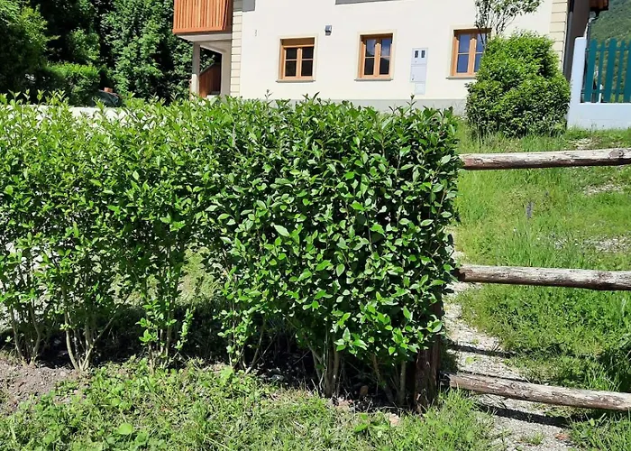 Hisa Ella Apartman Žaga