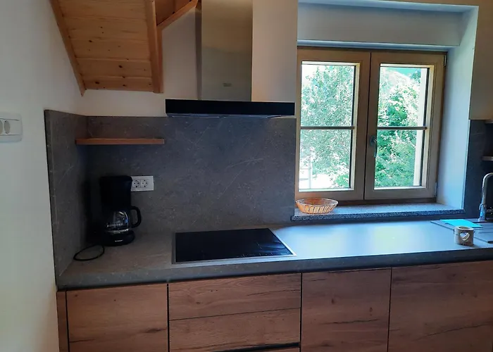 Apartma Hisa Ella Zaga