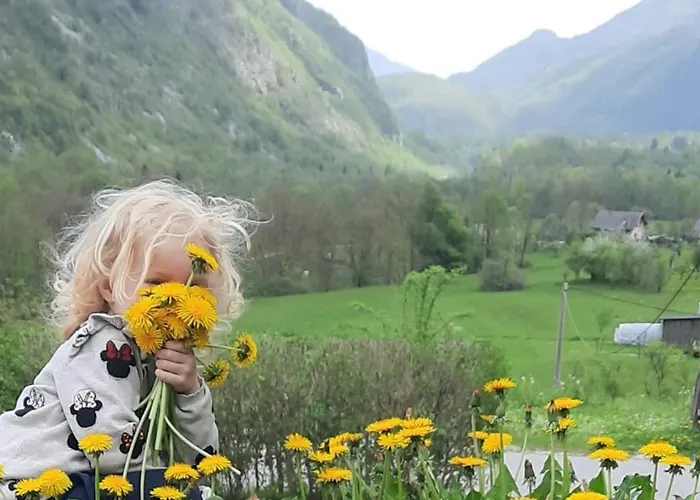 Apartman Hisa Ella Žaga